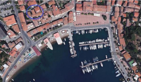 La Tartaruga Marina